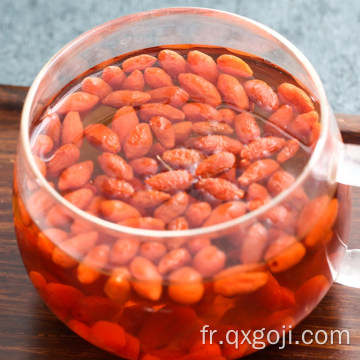 Lycium goji baie de goji bio pour la santé